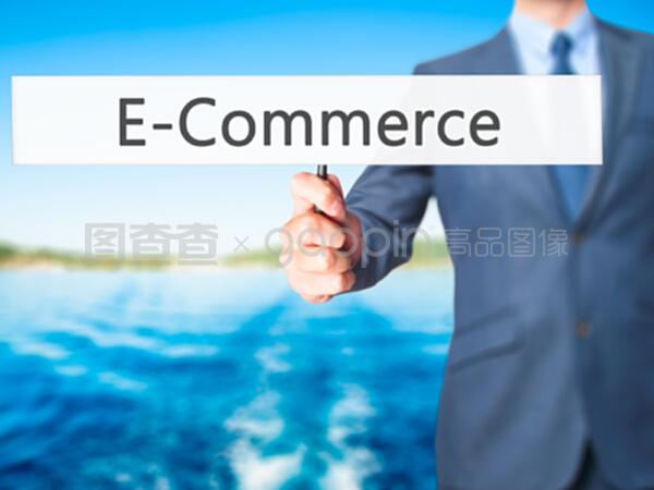 电子商务 商业人士必须掌握的核心技术与战略机遇